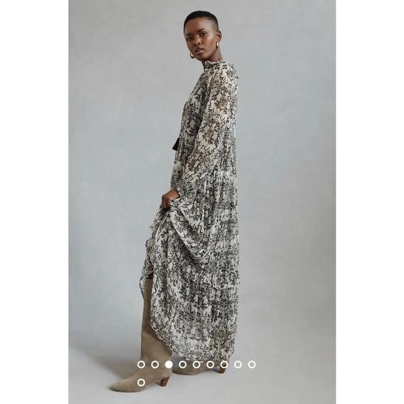 New Anthropologie The Marais Printed Chiffon Maxi Dress size Small - Picture 2 of 9